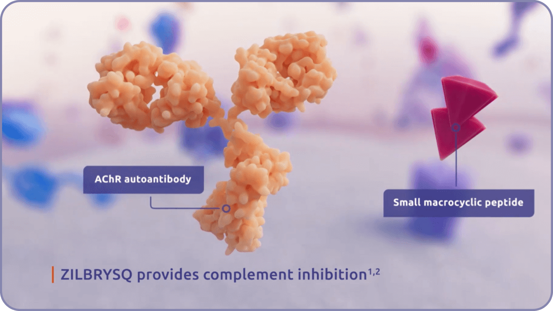 ZILBRYSQ provides complement inhibition.