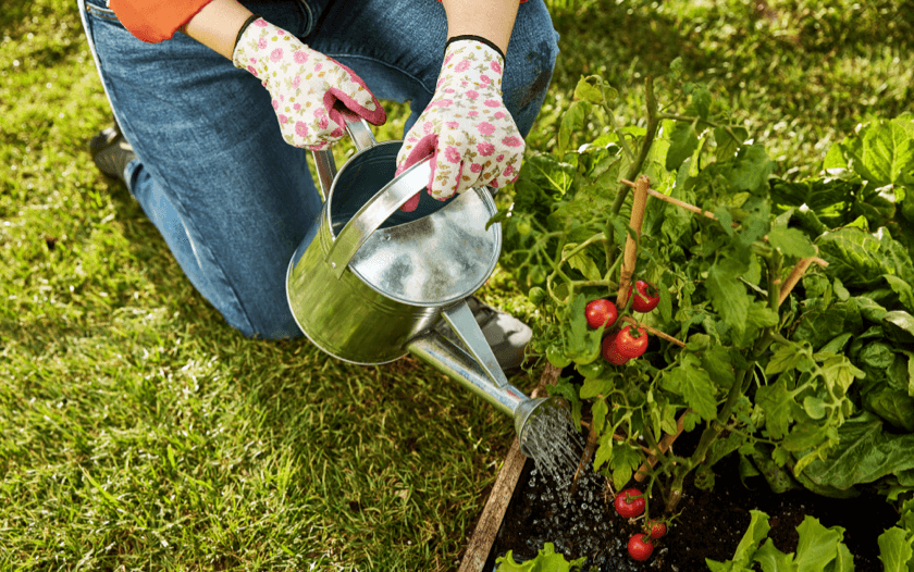 Gardener