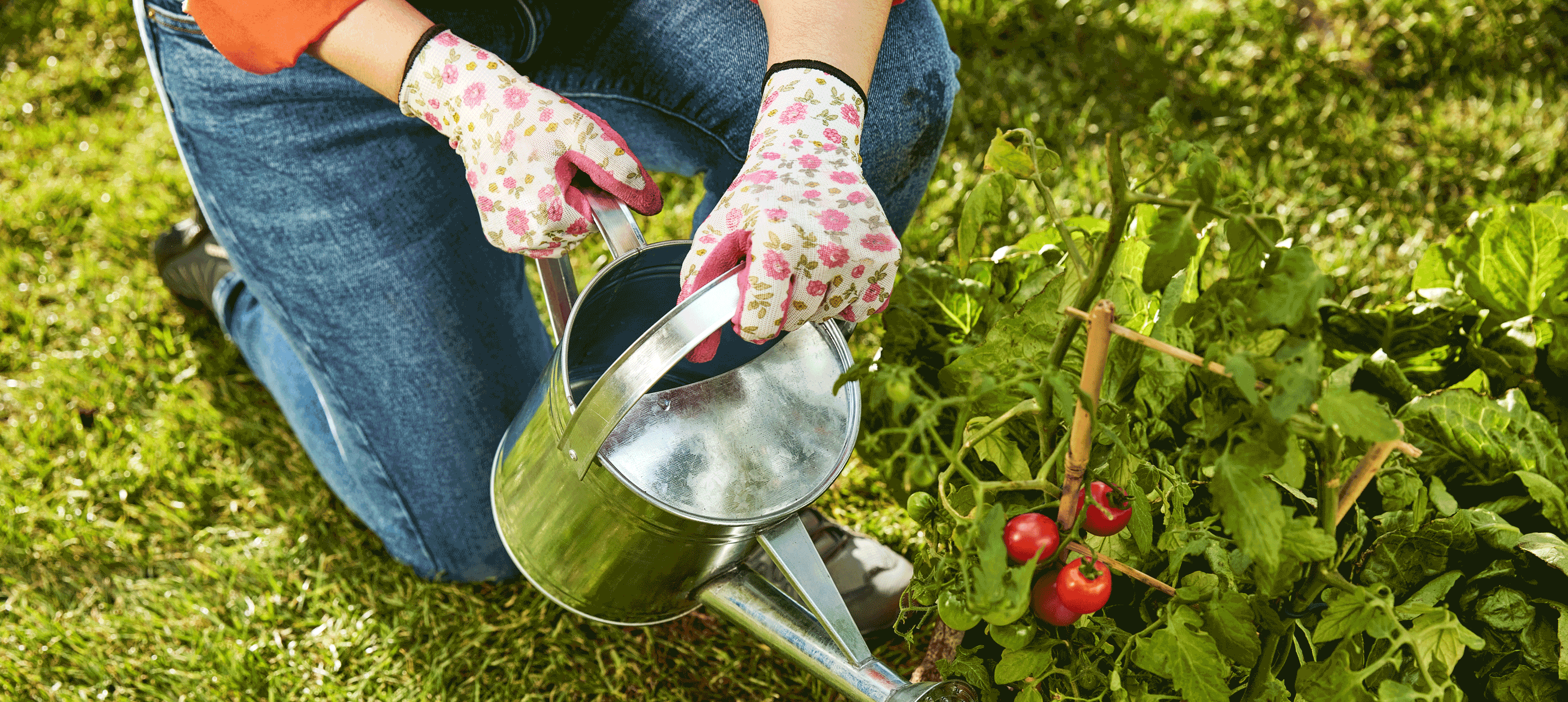 Gardener