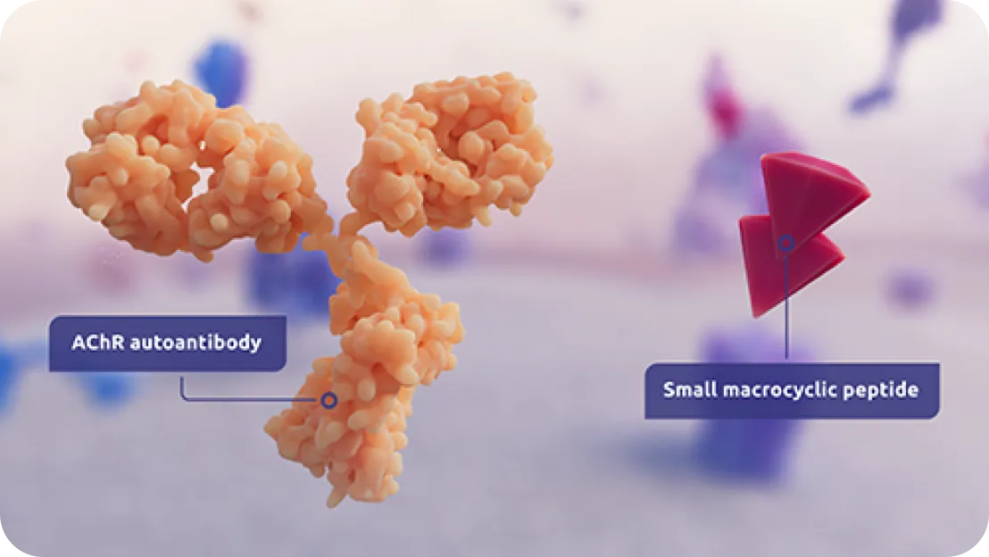 ZILBRYSQ provides complement inhibition.